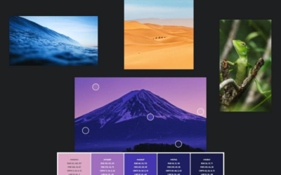 Die Macht der Farben im Webdesign: Wie du die richtige Farbpalette auswählst